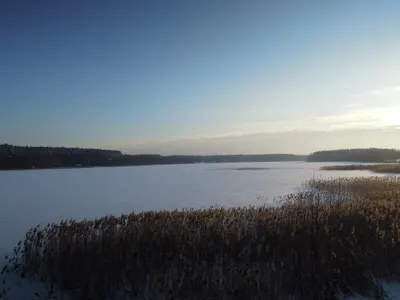 Rzeczoznawca Majątkowy